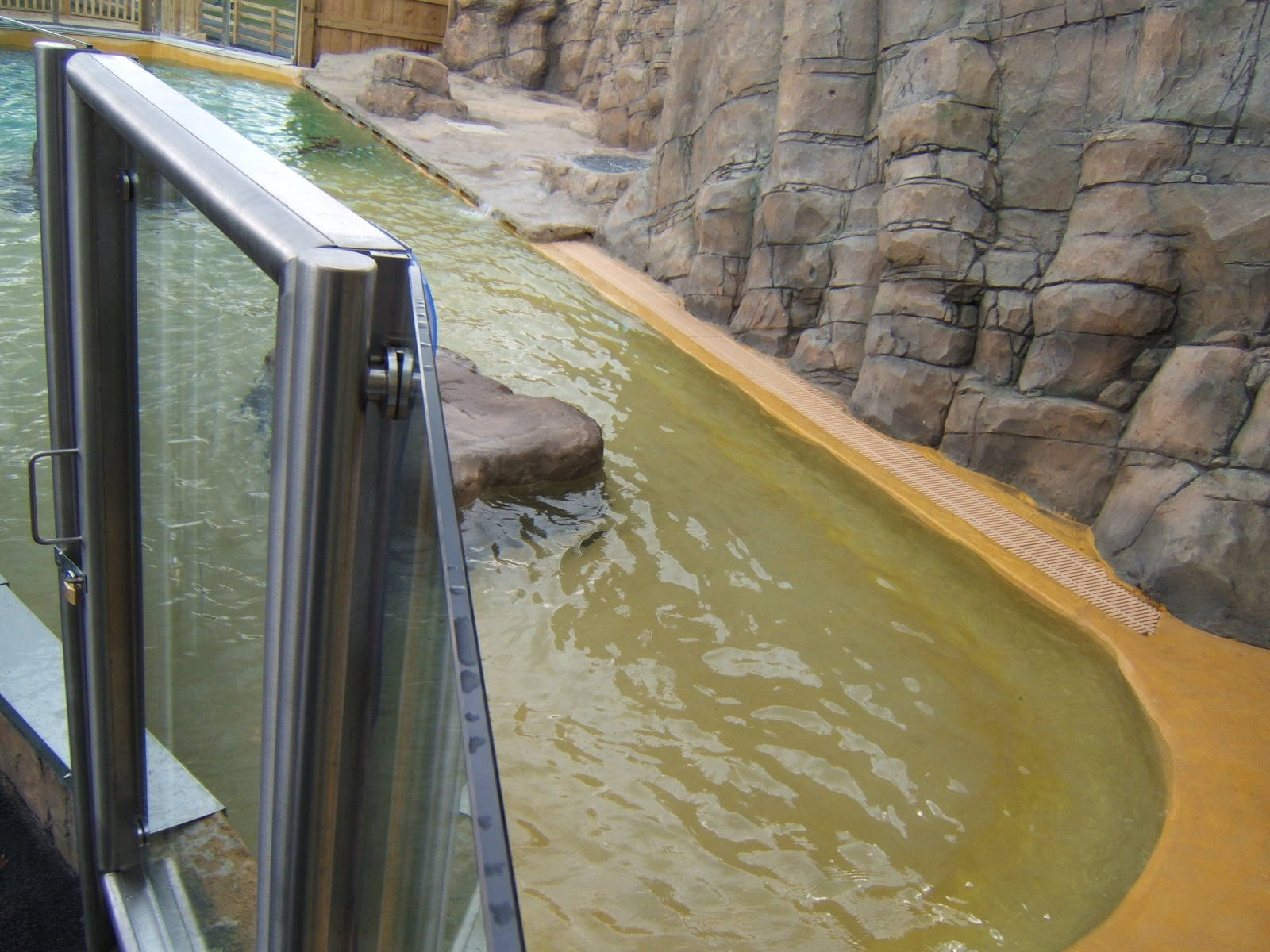 Sealion pool