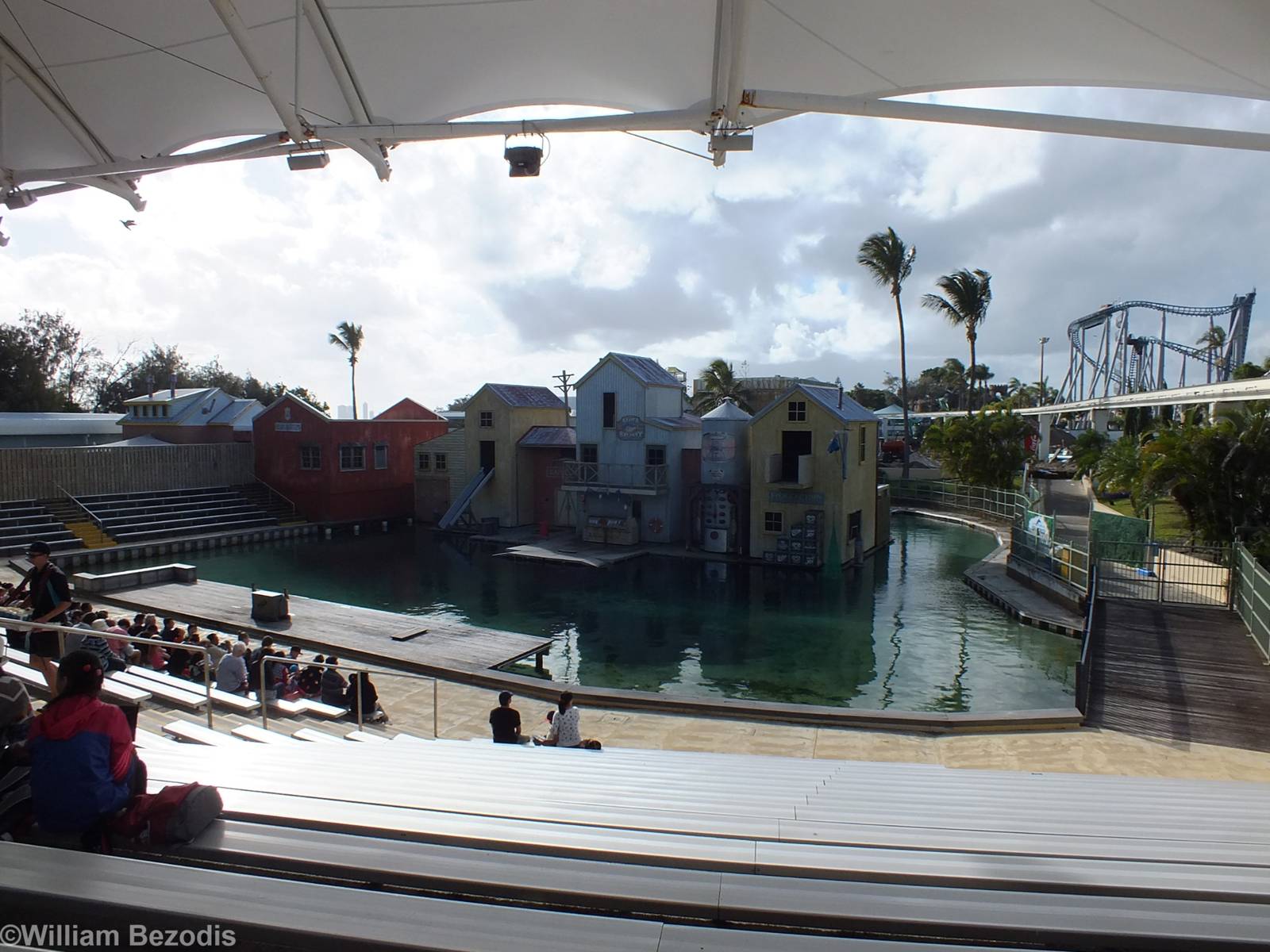 Sealion Show Area
