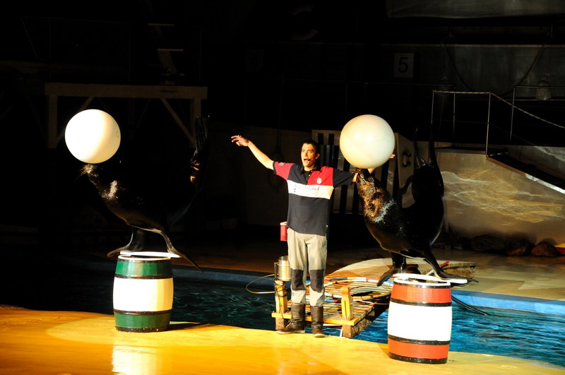 Sealion-show at Hansa-Park Sierksdorf