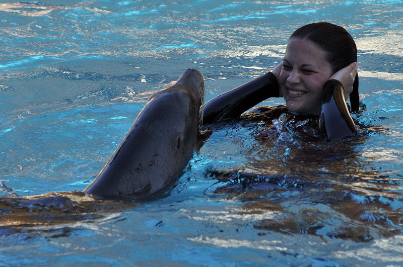 Sealion-Show at marineland ontario