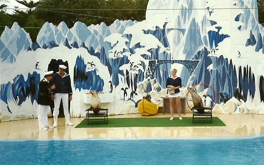 Sealion Show - Atlantis Marine Park, Western Australia