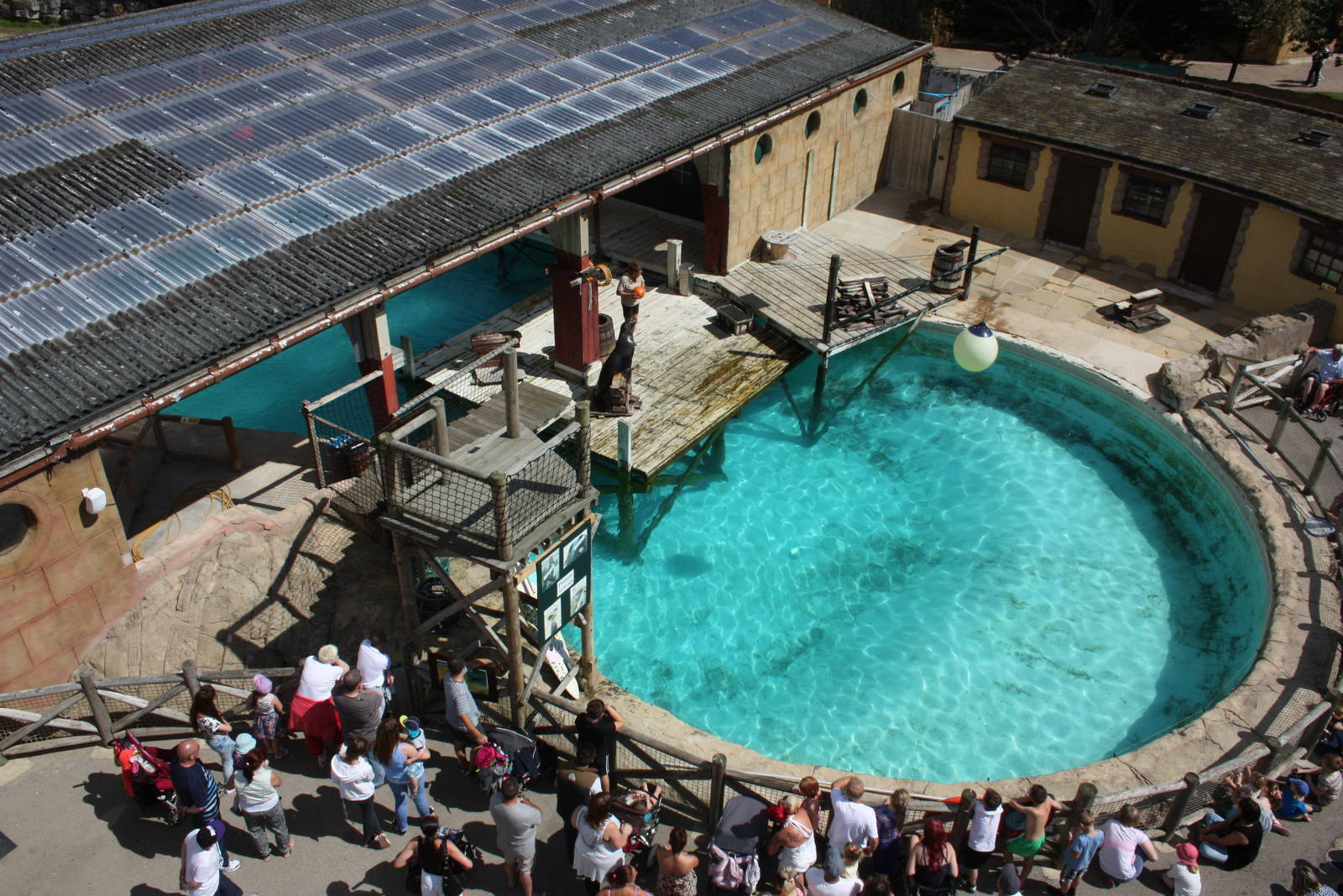 Sealion Show in progress, 4th August 2014