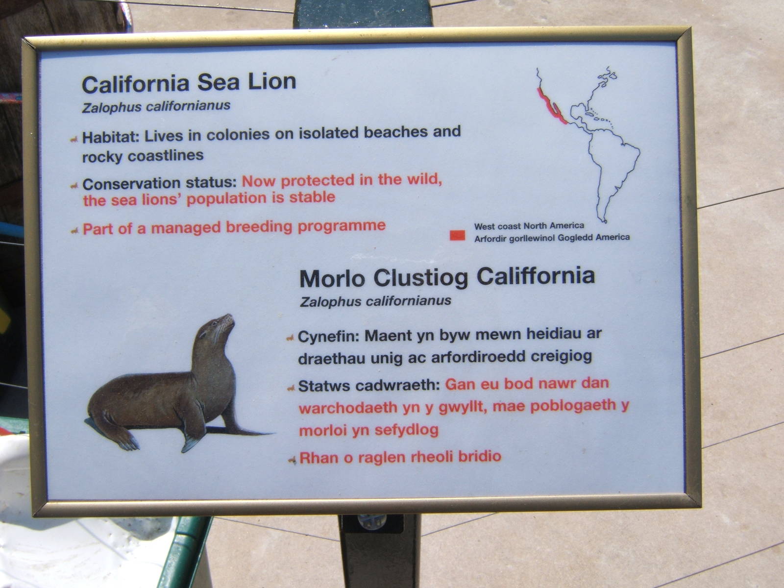 Sealion Sign