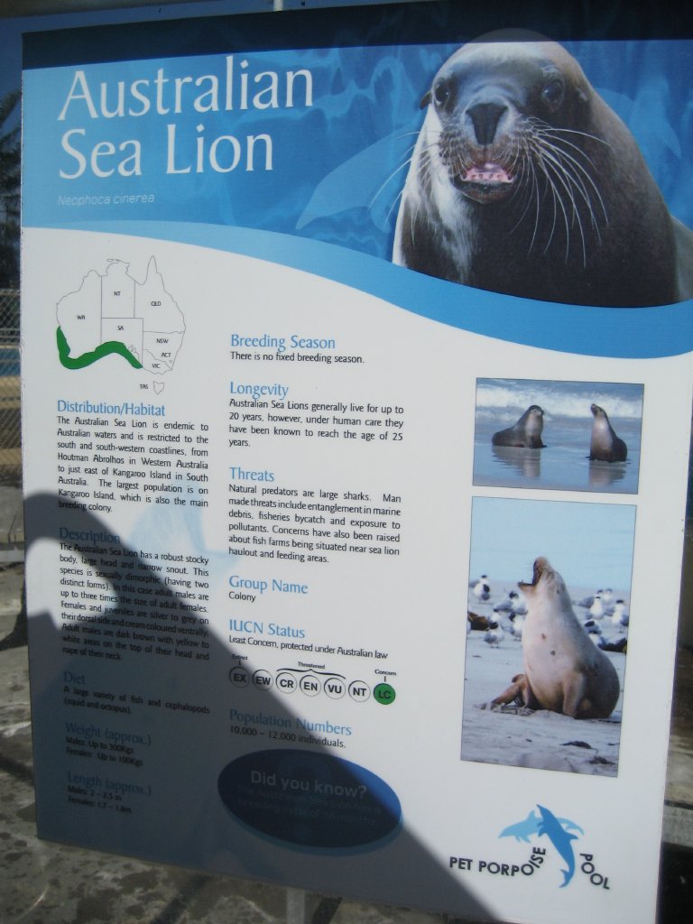 Sealion signage