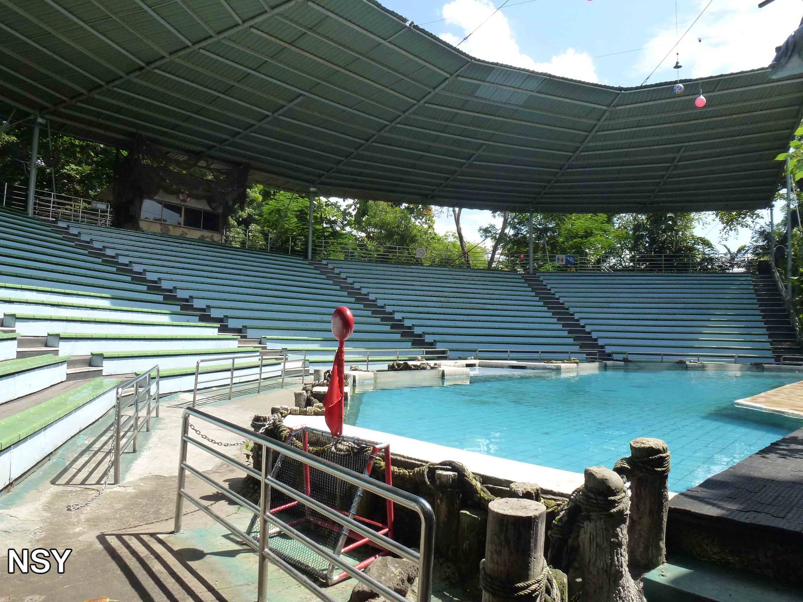Sealion stadium, June 2013.