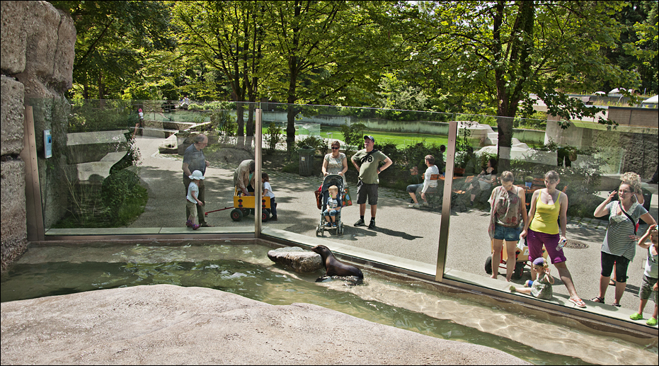 Sealionpool at Hellabrunn, München