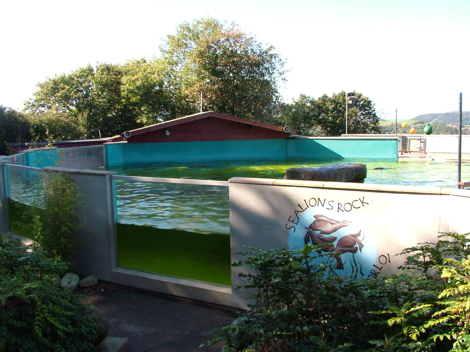 'Sealions Rock' at the Welsh Mountain Zoo Oct 08