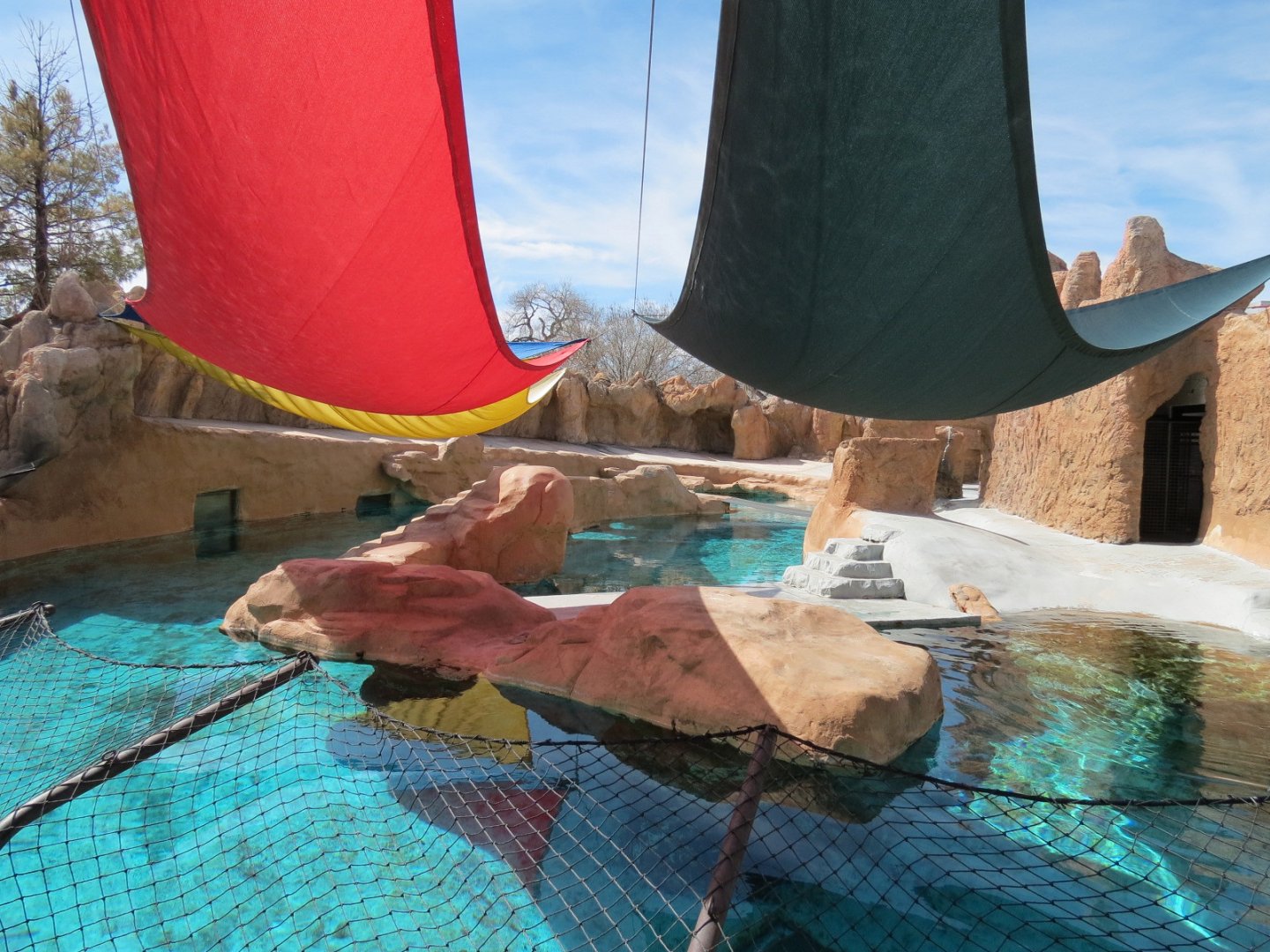 Seals & Sea Lions - Abovewater View of Exhibit
