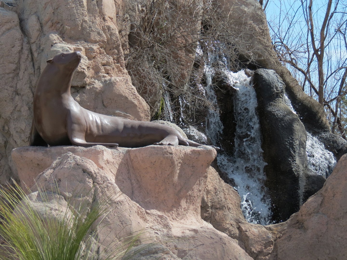 Seals & Sea Lions - Sea Lion Sculpture