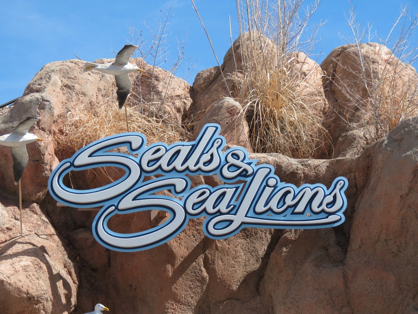 Seals & Sea Lions - Sign