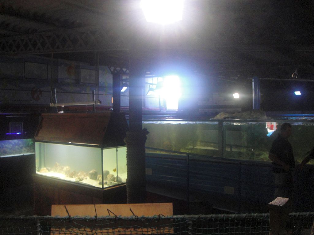 SeaQuarium Clacton Pier