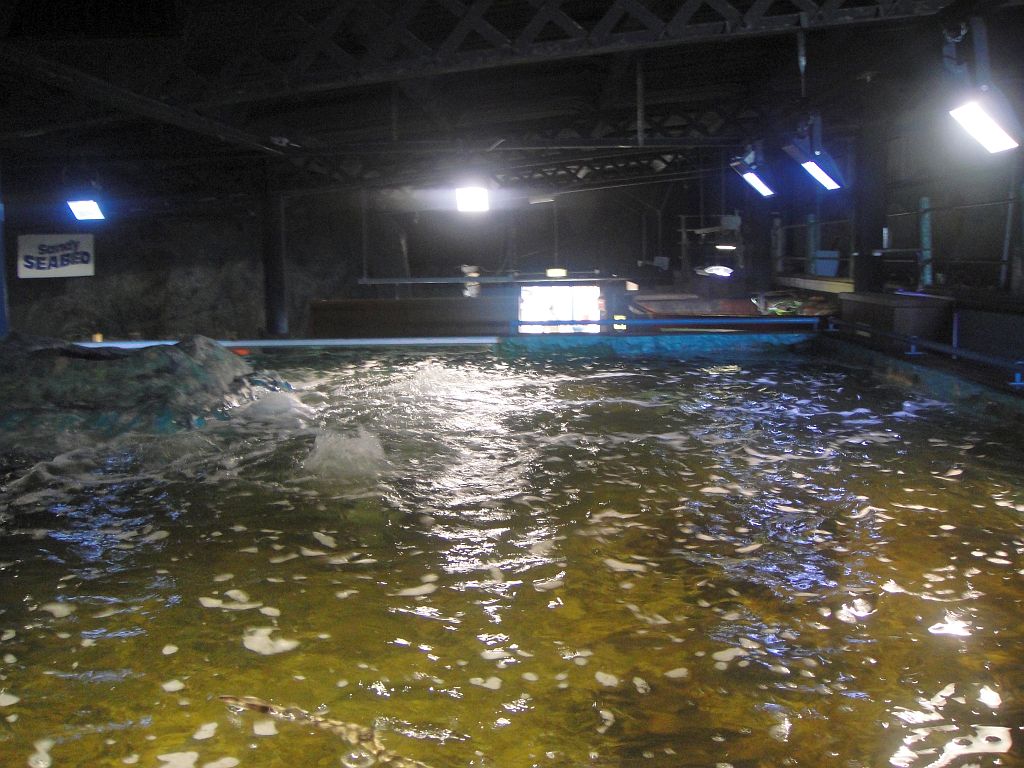 SeaQuarium Clacton Pier