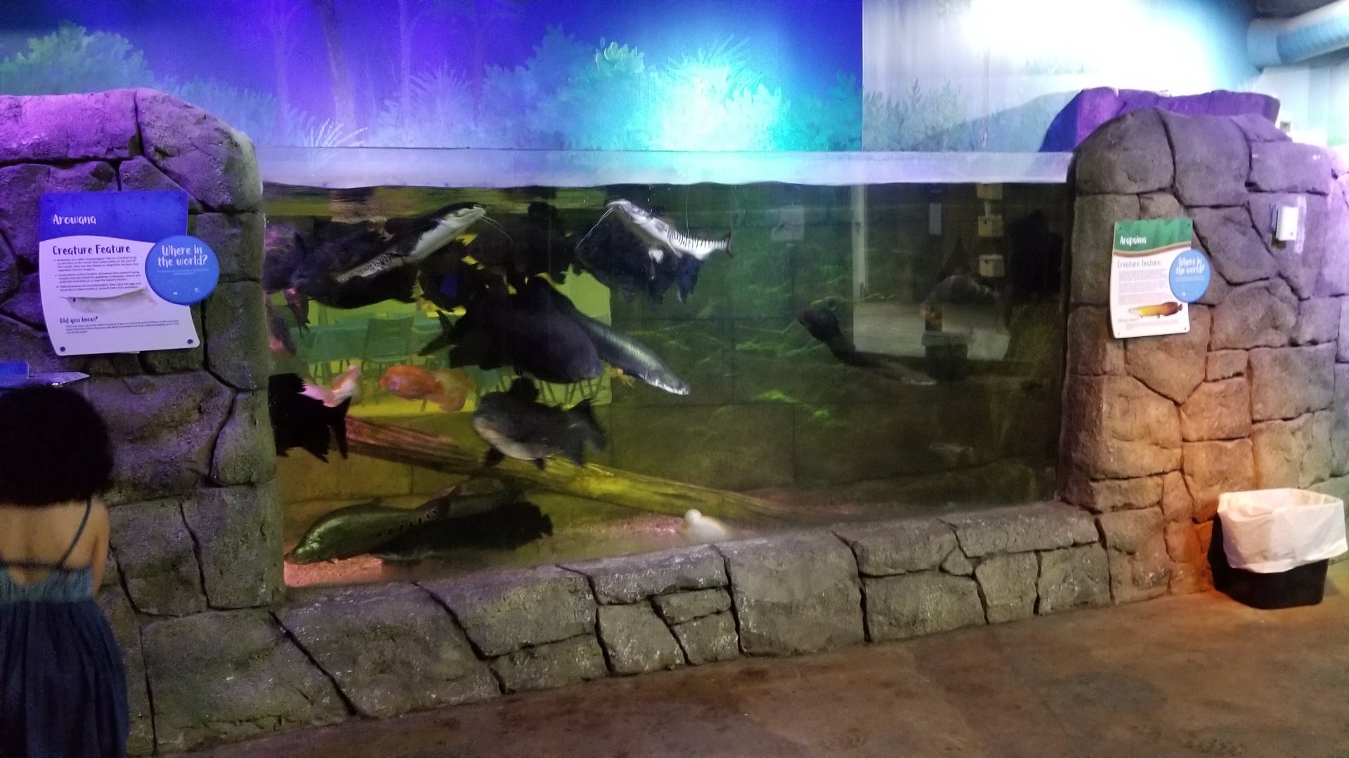 SeaQuest Woodbridge - 1st tank