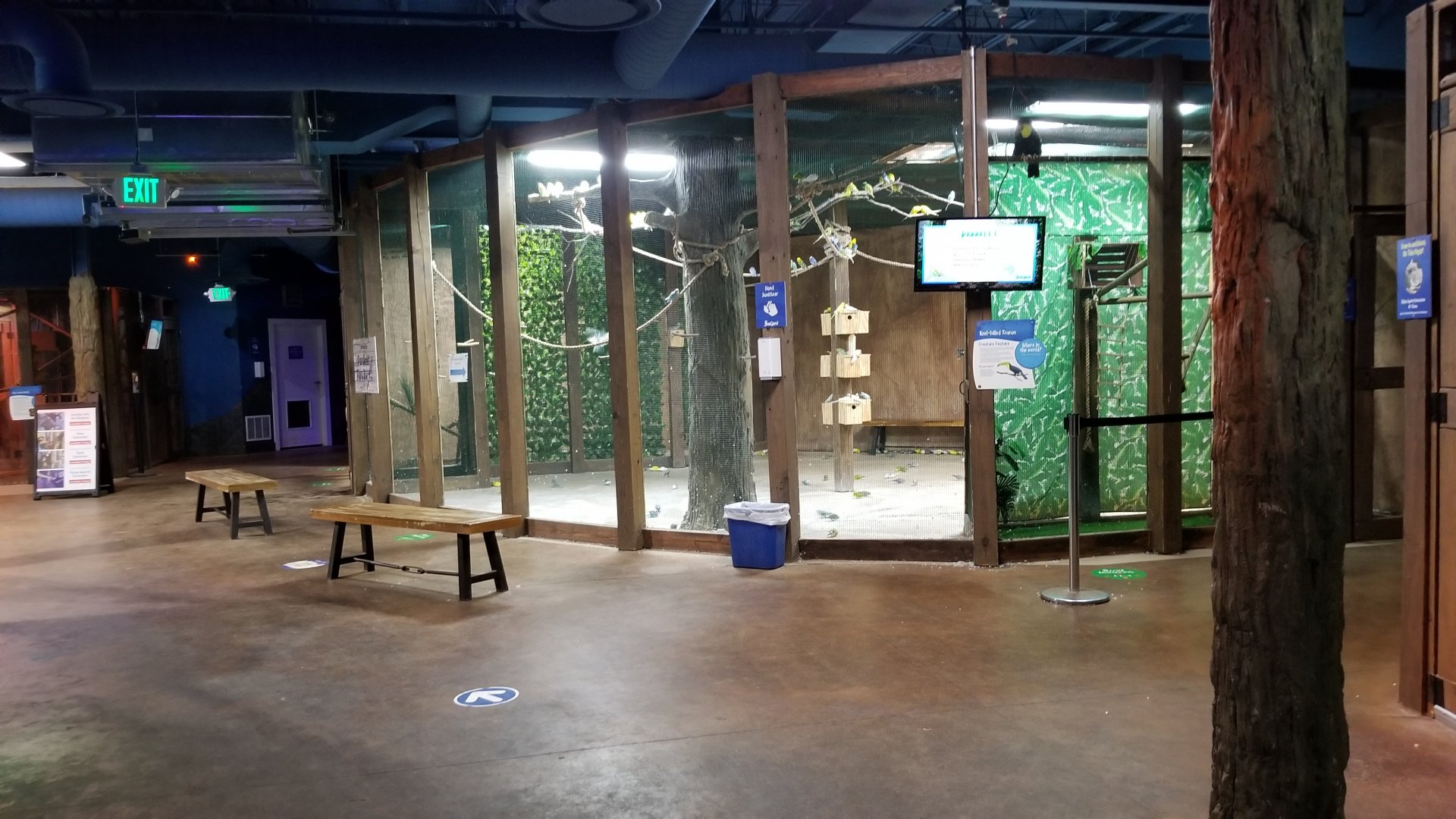 SeaQuest Woodbridge - Budgies and toco toucan