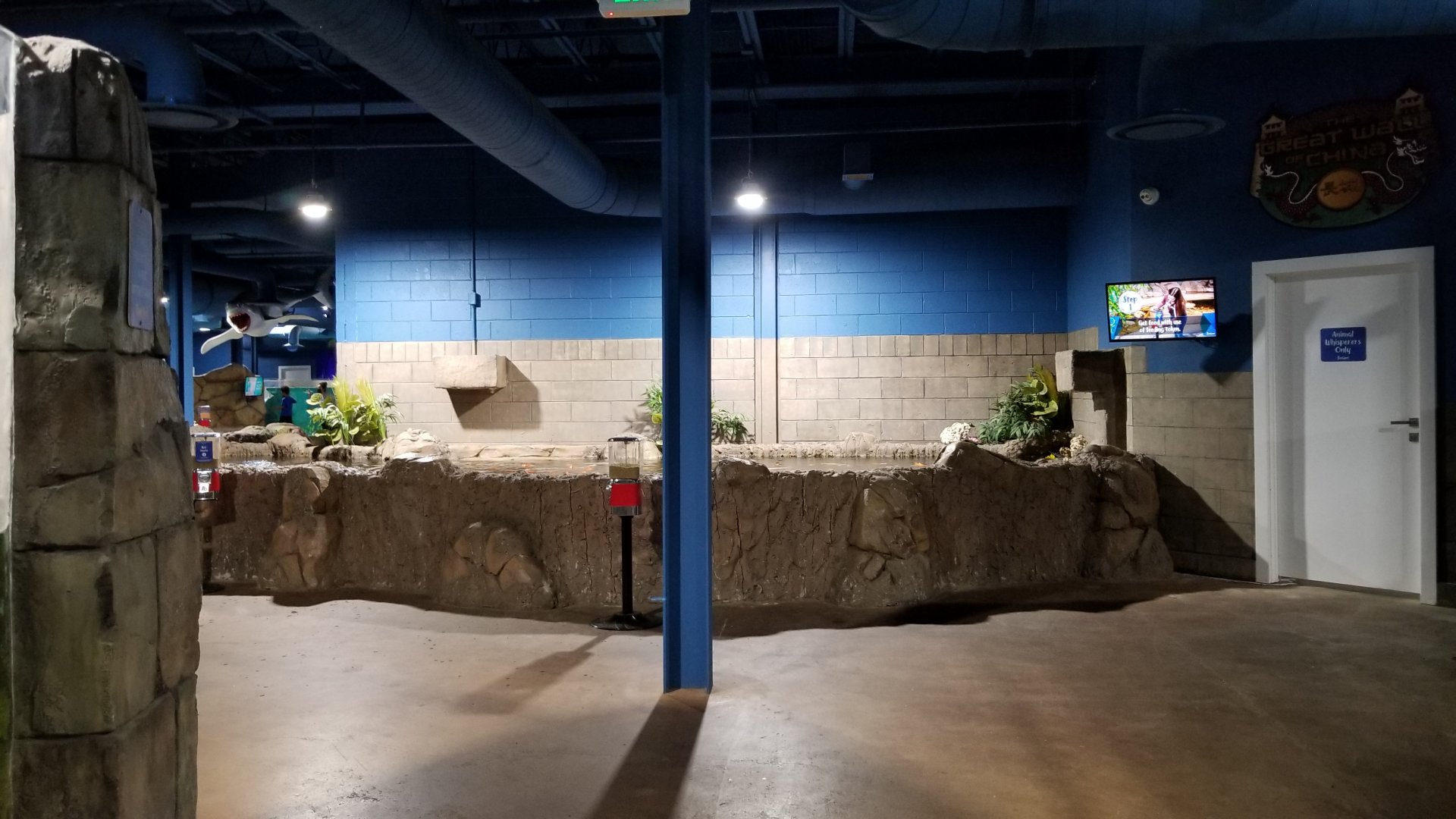 SeaQuest Woodbridge - Carp tank