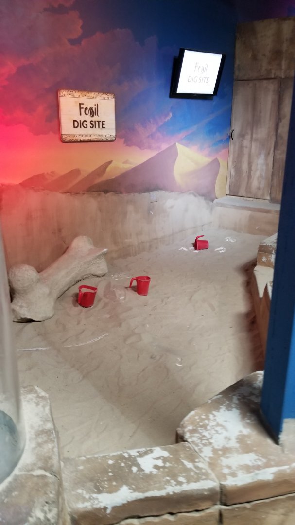 SeaQuest Woodbridge - Digging area