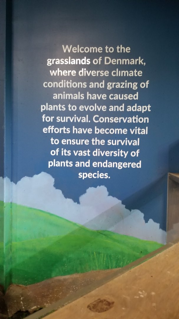 SeaQuest Woodbridge - Fifth room sign