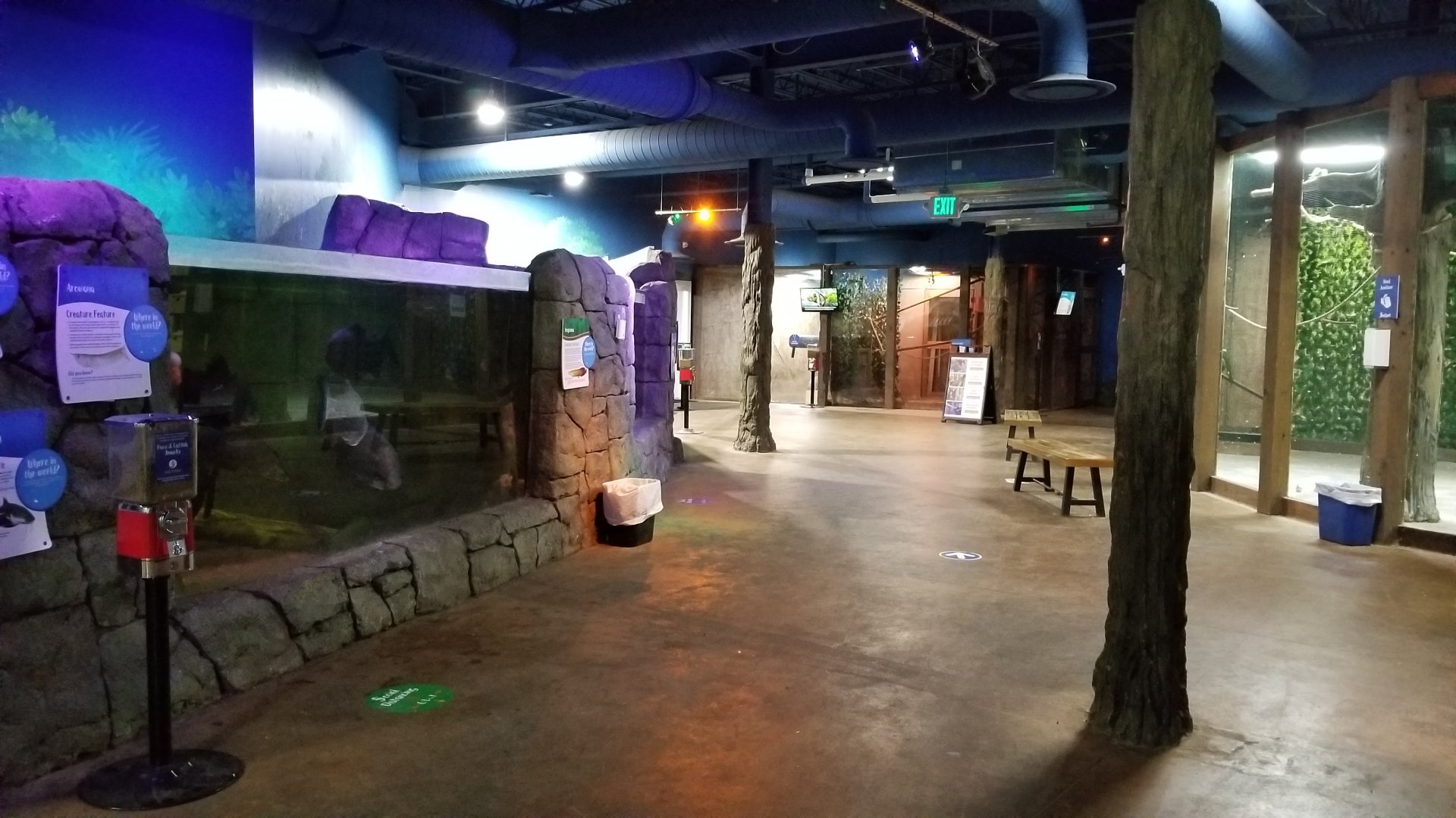 SeaQuest Woodbridge - First room