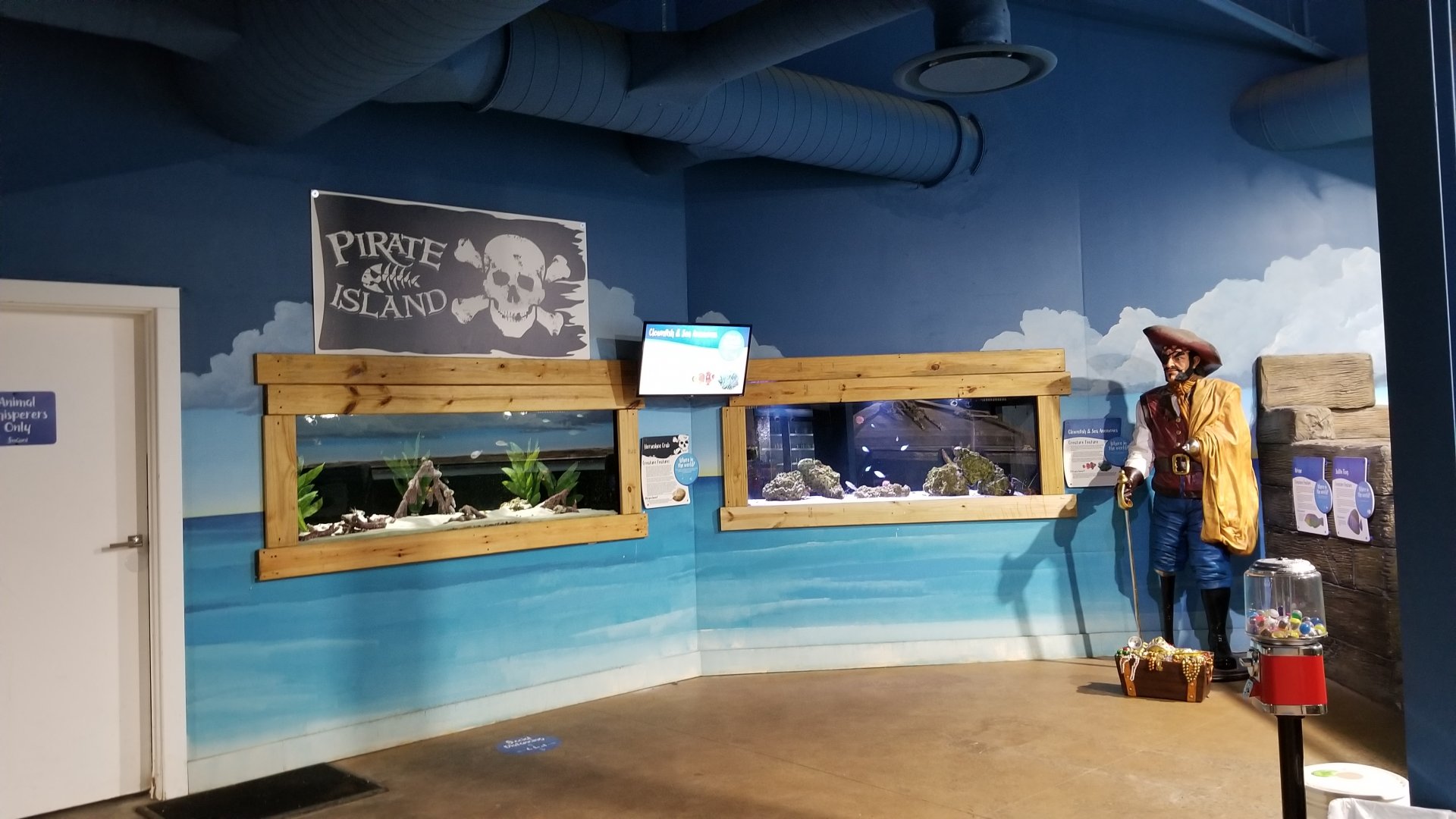 SeaQuest Woodbridge - Goby and pajamafish tank, crustacean tank