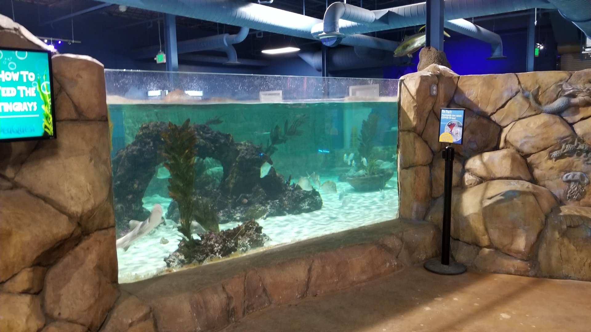 SeaQuest Woodbridge - Largest tank