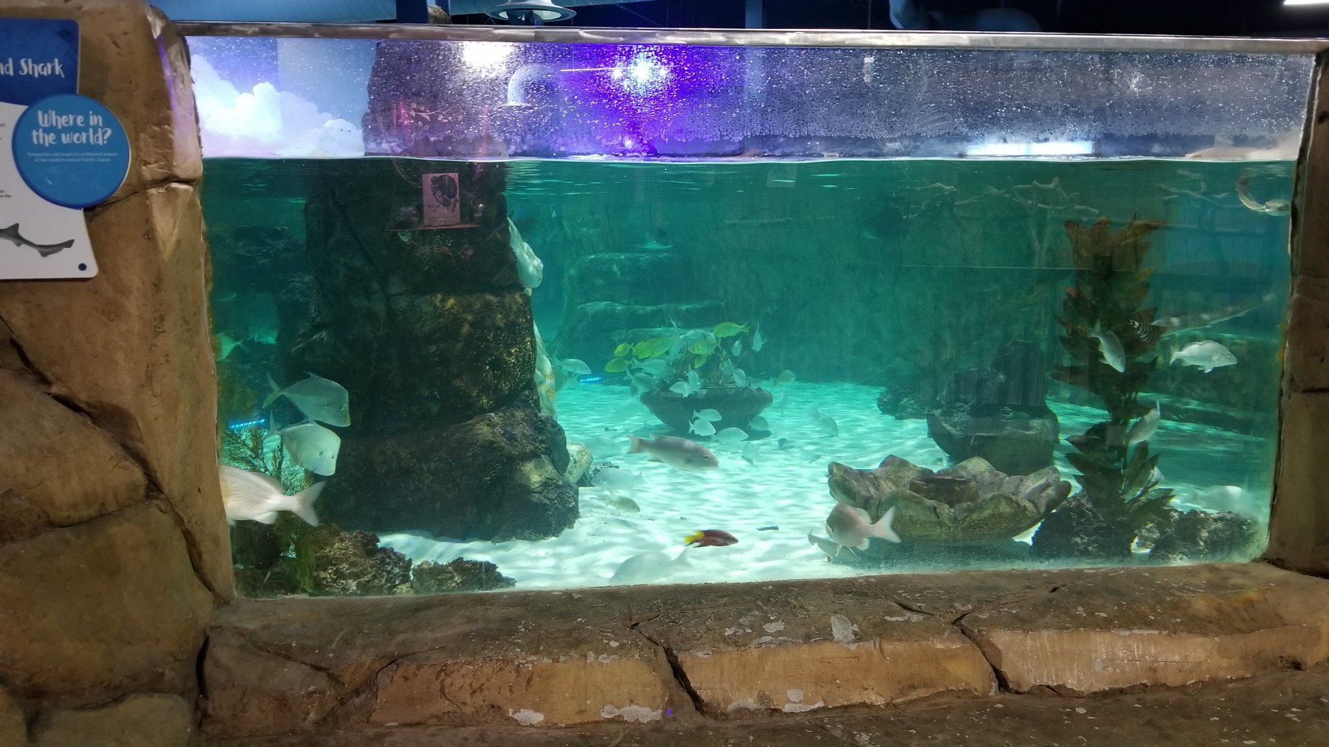 SeaQuest Woodbridge - Largest tank