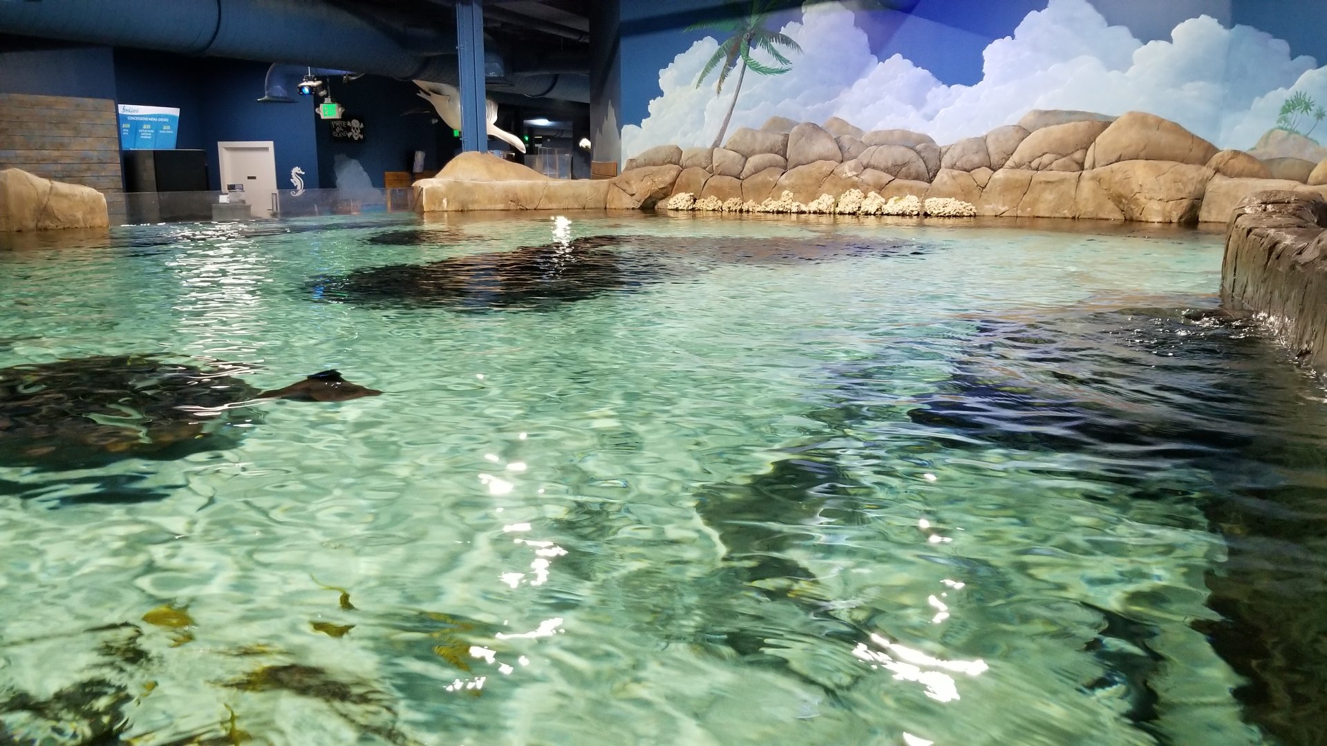 SeaQuest Woodbridge - Largest tank