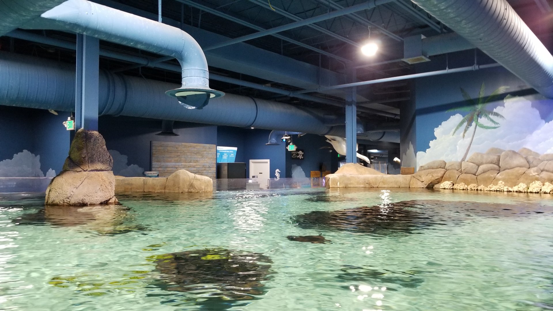 SeaQuest Woodbridge - Largest tank