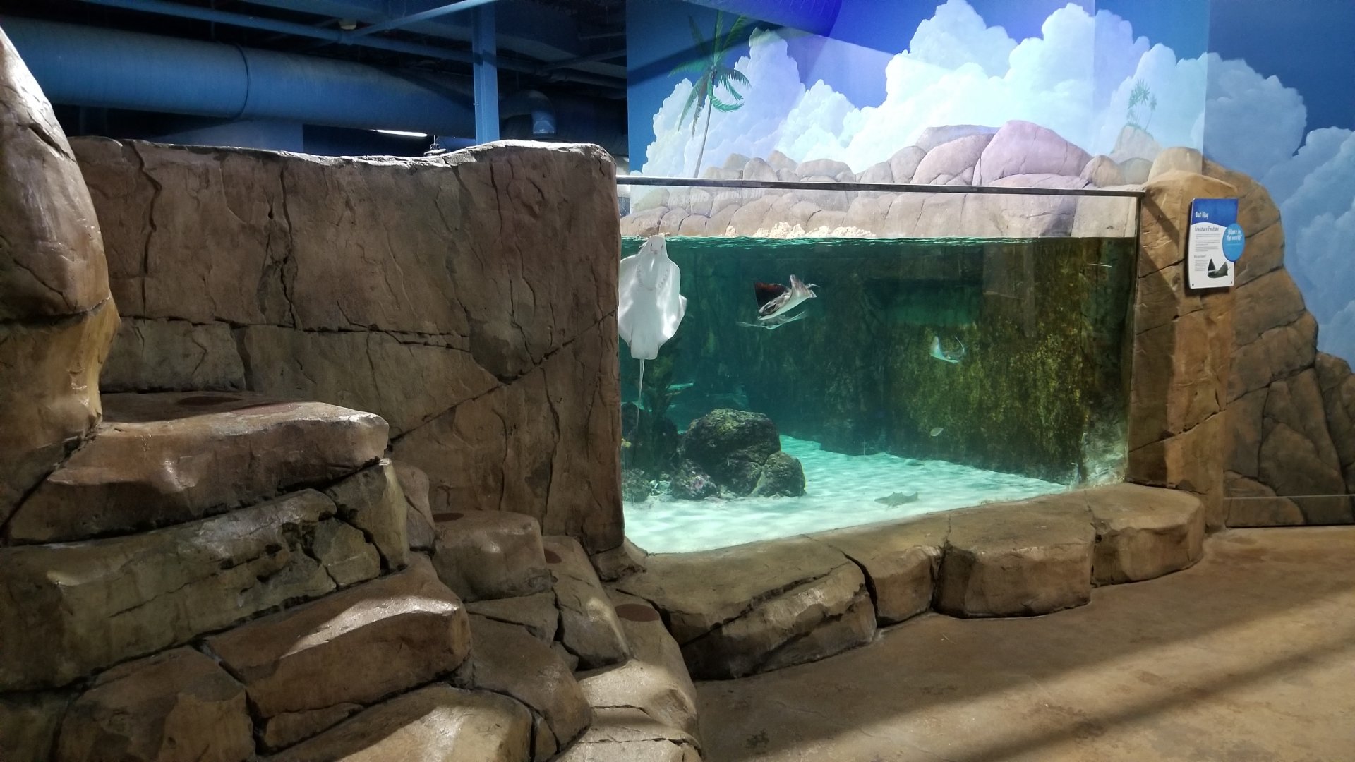 SeaQuest Woodbridge - Largest tank