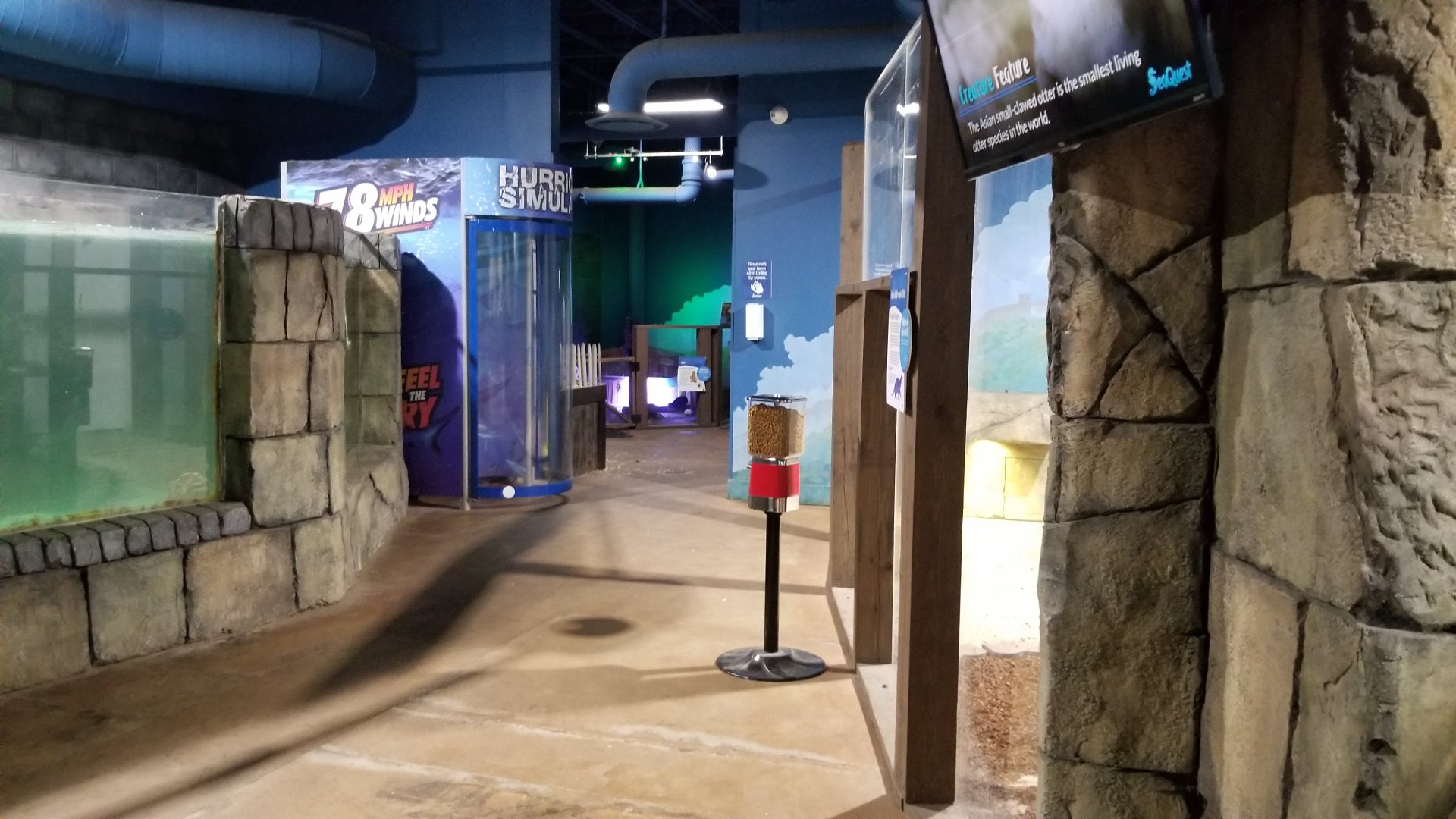 SeaQuest Woodbridge - Looking back to fifth room, otters on right