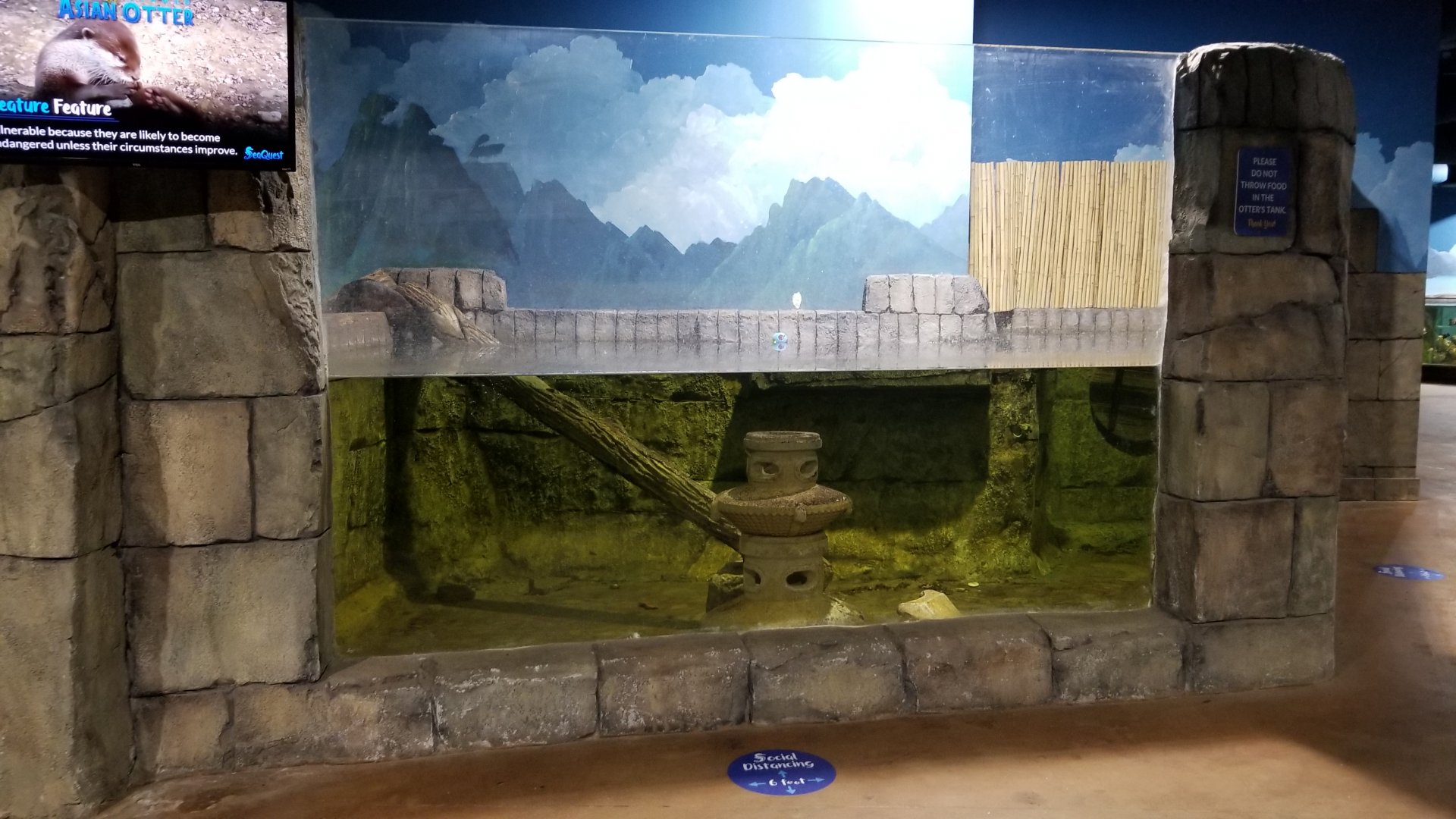 SeaQuest Woodbridge - Otters