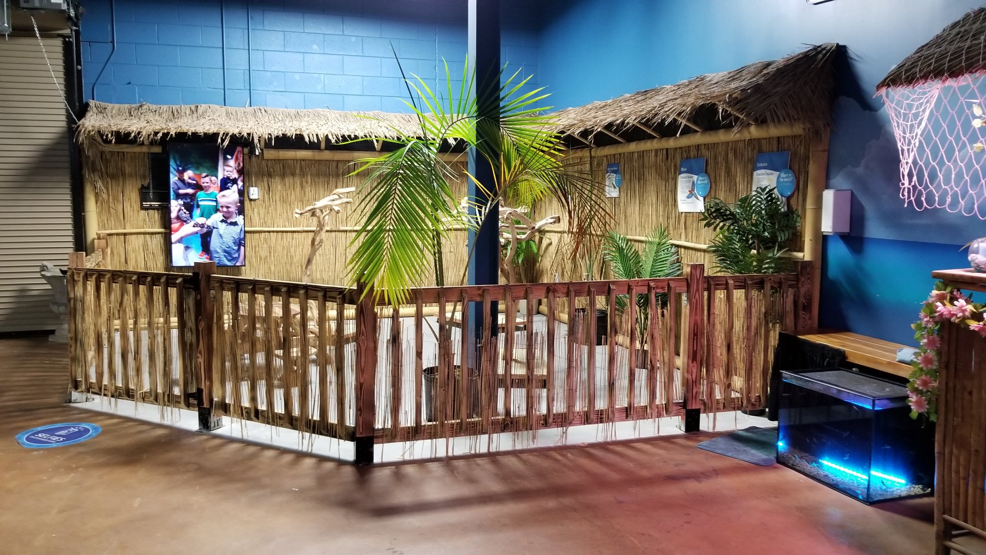 SeaQuest Woodbridge - Parrot/macaw area