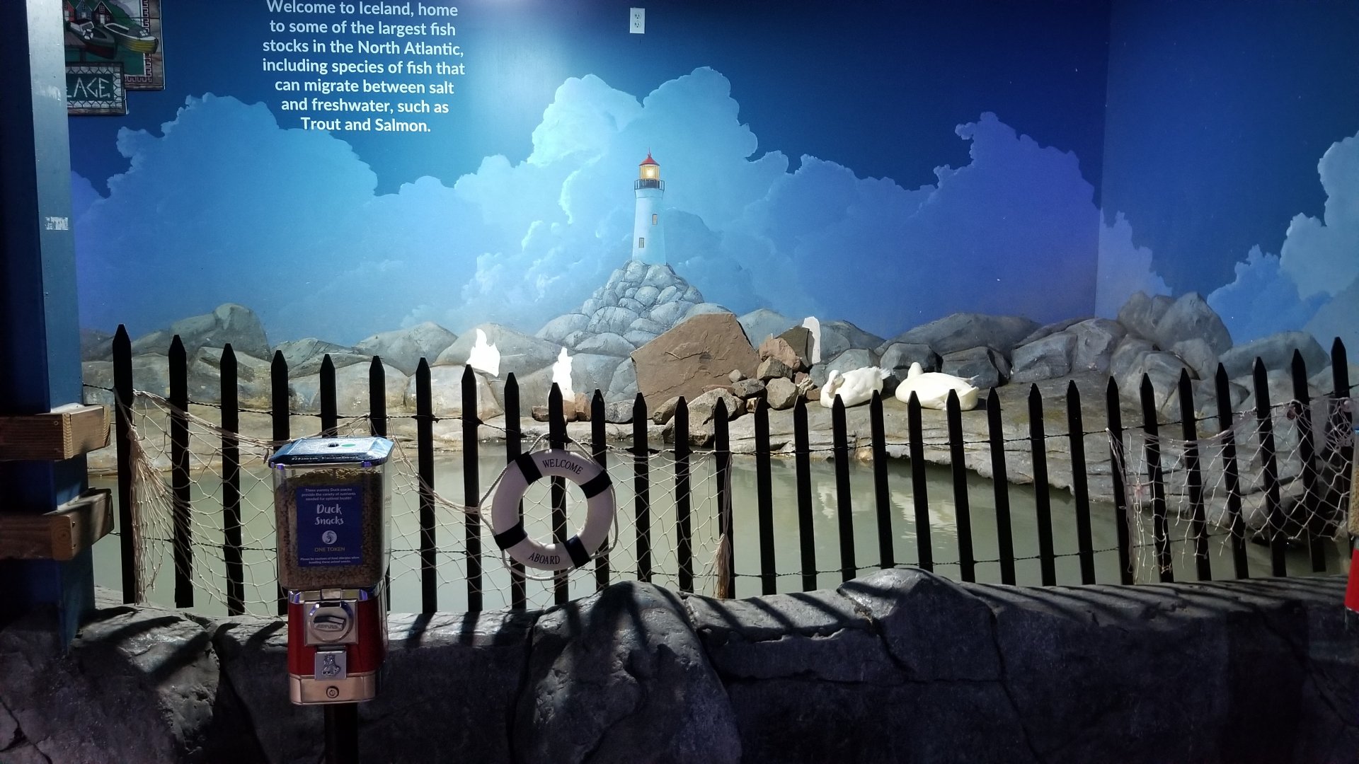 SeaQuest Woodbridge - Pekin ducks