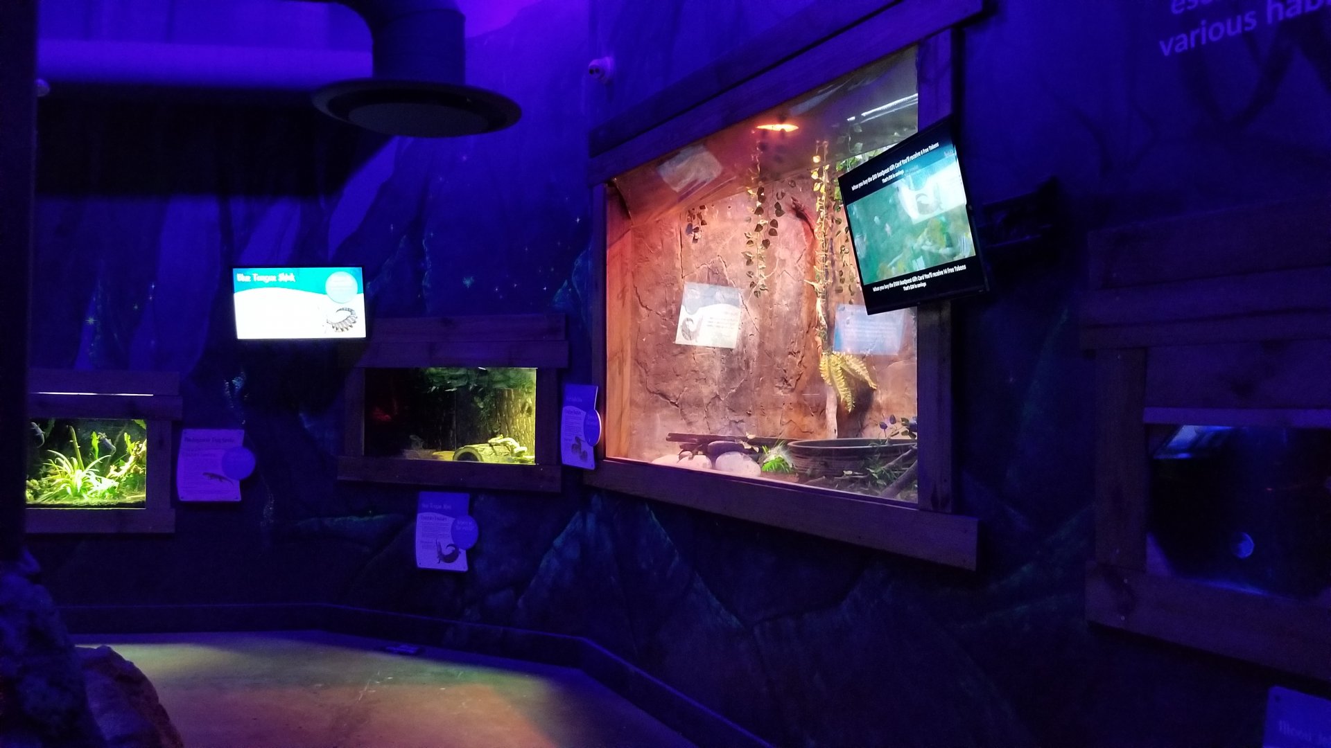 SeaQuest Woodbridge - Second room