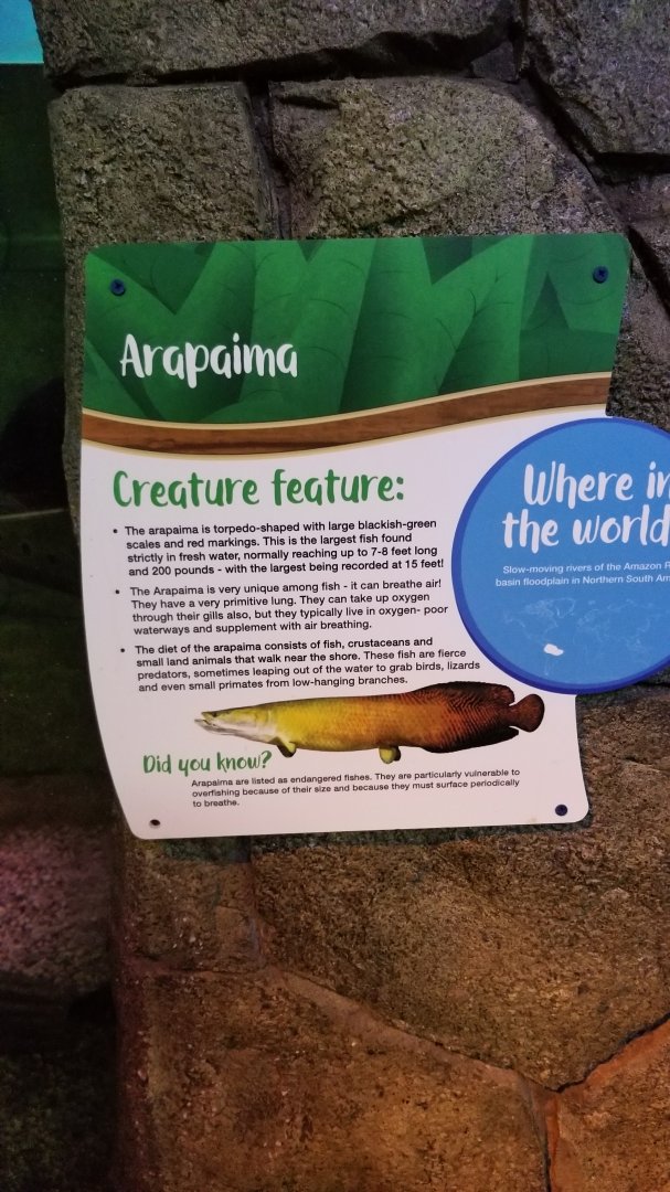 SeaQuest Woodbridge - Signage example