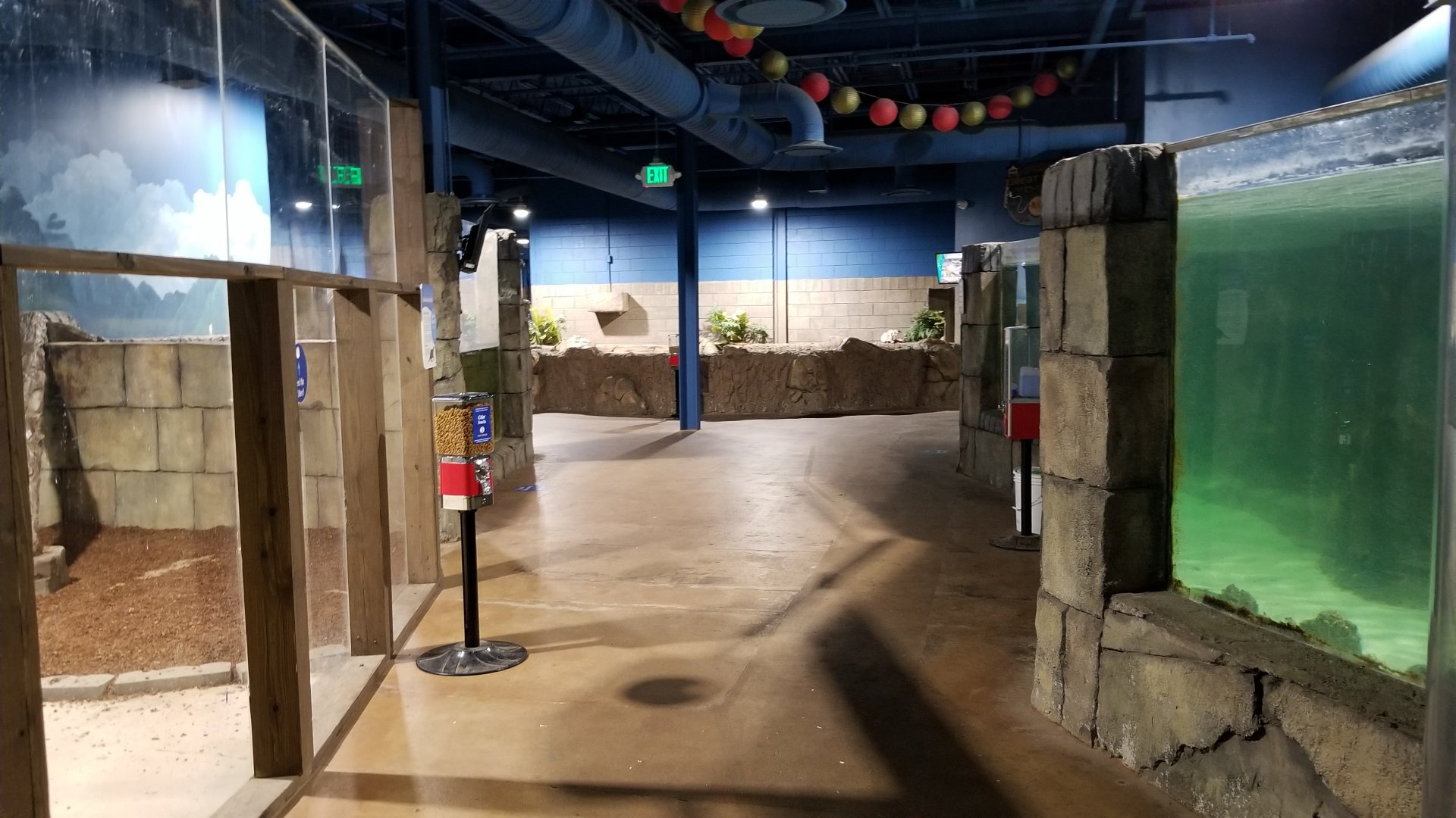 SeaQuest Woodbridge - Sixth room, otters on left, green moray on right, koi ahead