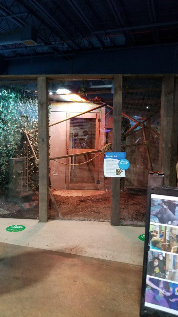 SeaQuest Woodbridge - Sloth