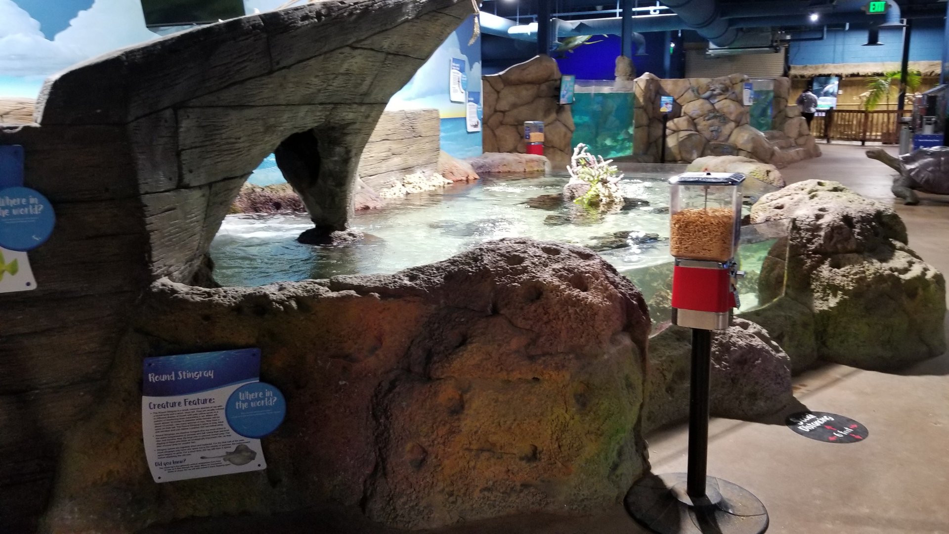 SeaQuest Woodbridge - Small shark tank