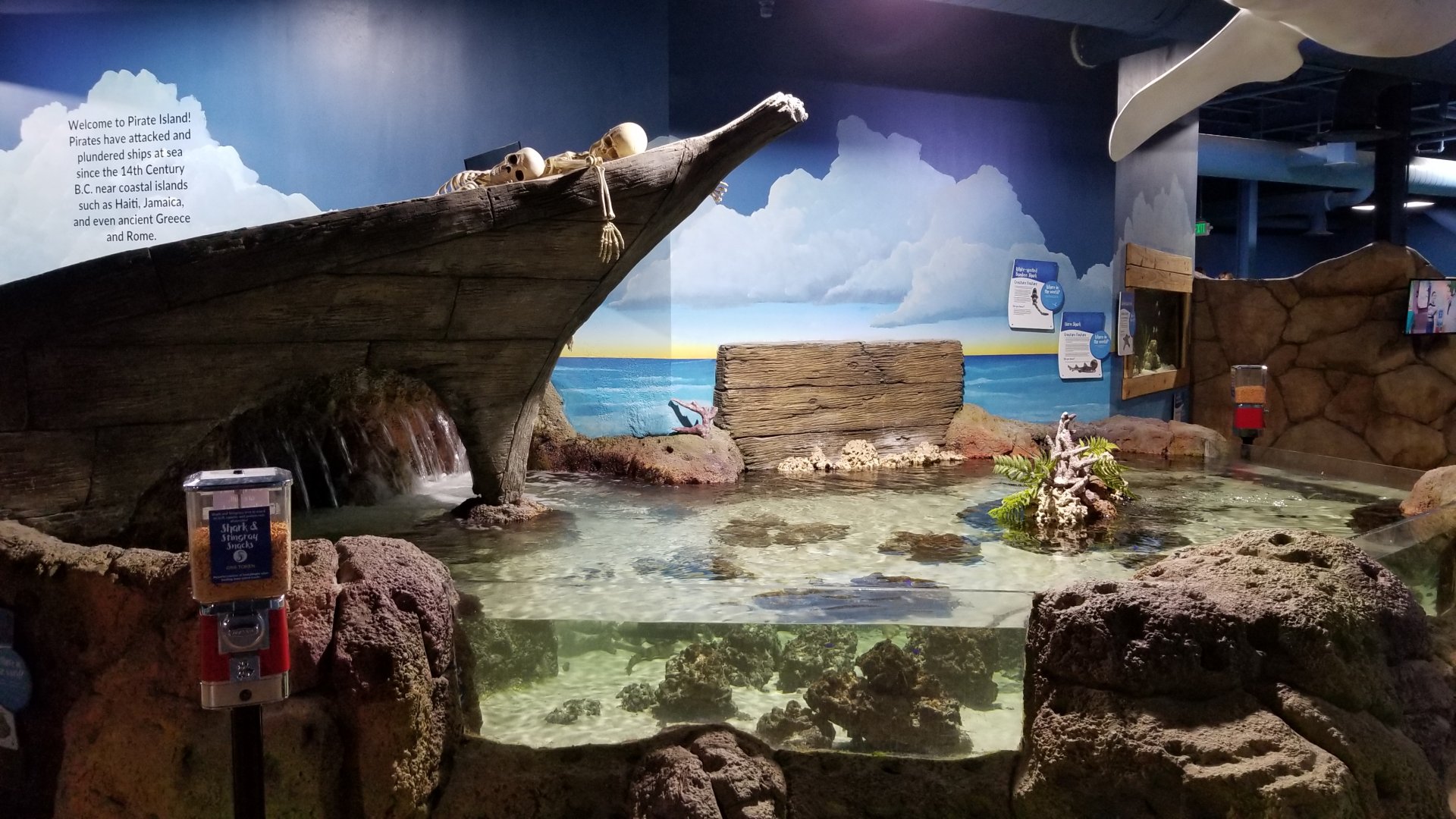 SeaQuest Woodbridge - Small shark tank