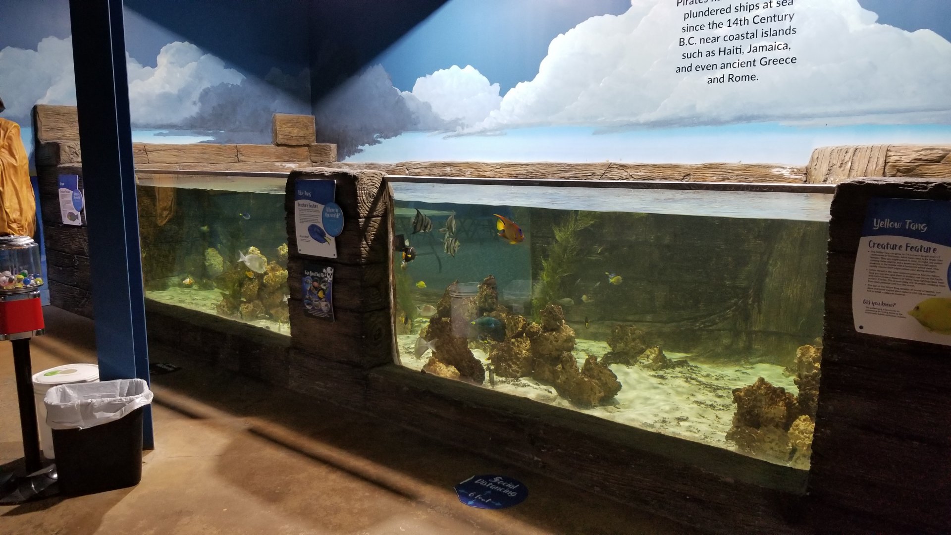 SeaQuest Woodbridge - Tropical tank