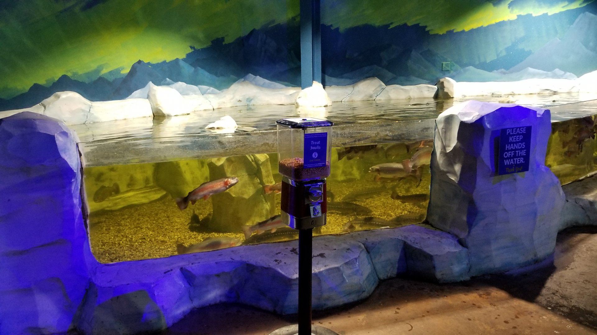 SeaQuest Woodbridge - Trout and sturgeon tank