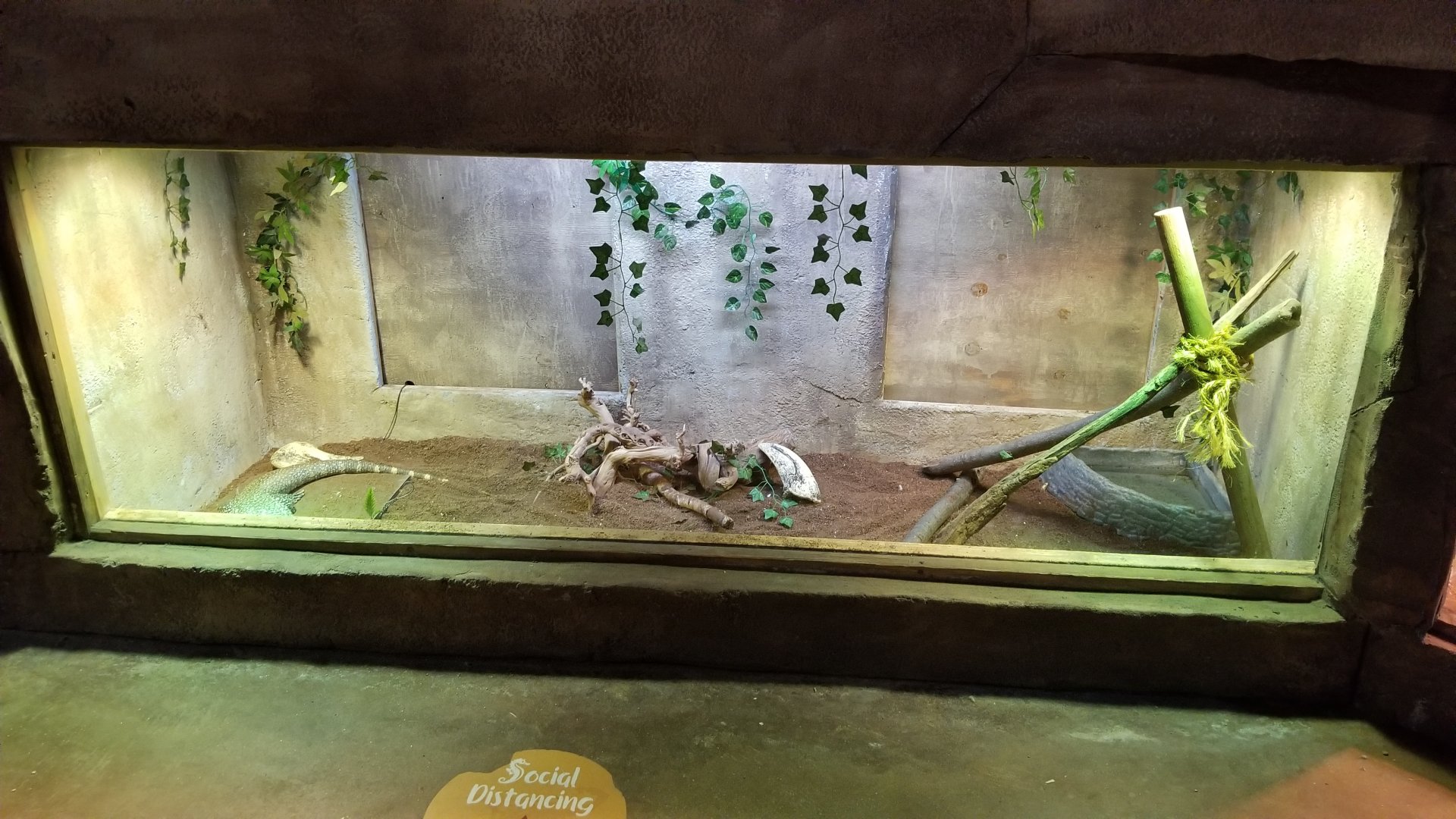 SeaQuest Woodbridge - Unsigned monitor