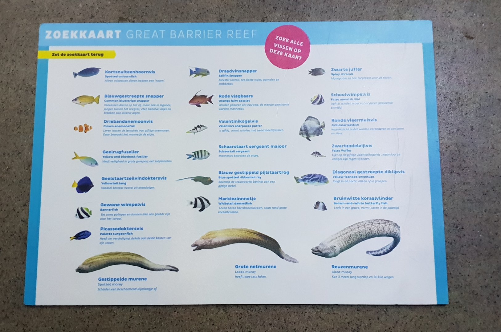 Search-cars Great Barrier Reef Aquarium