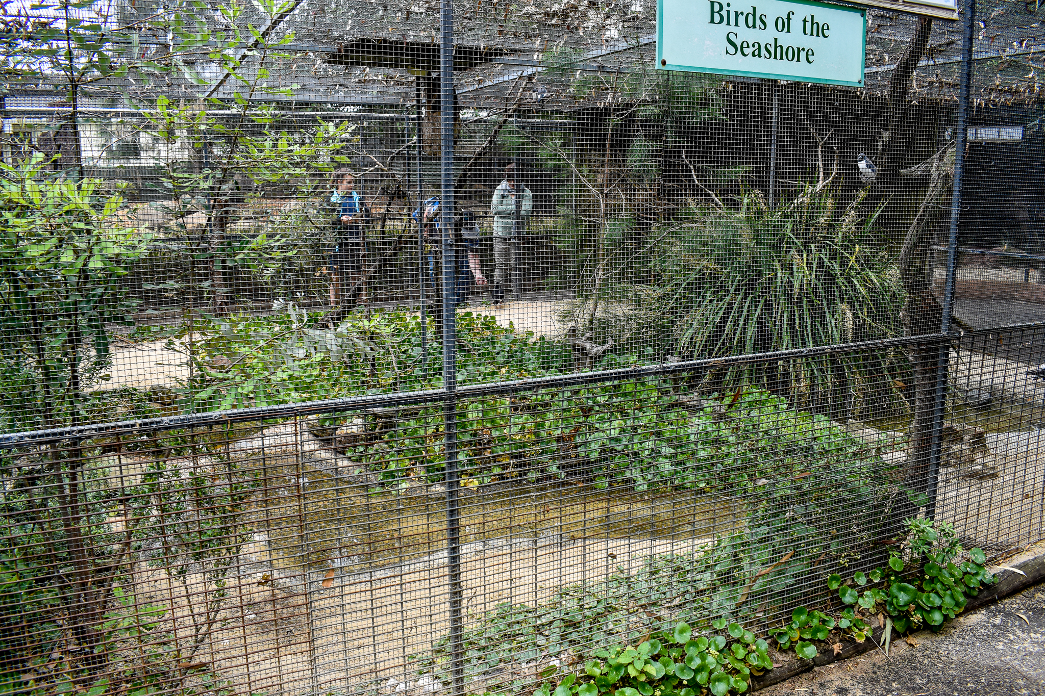 Seashore Aviary