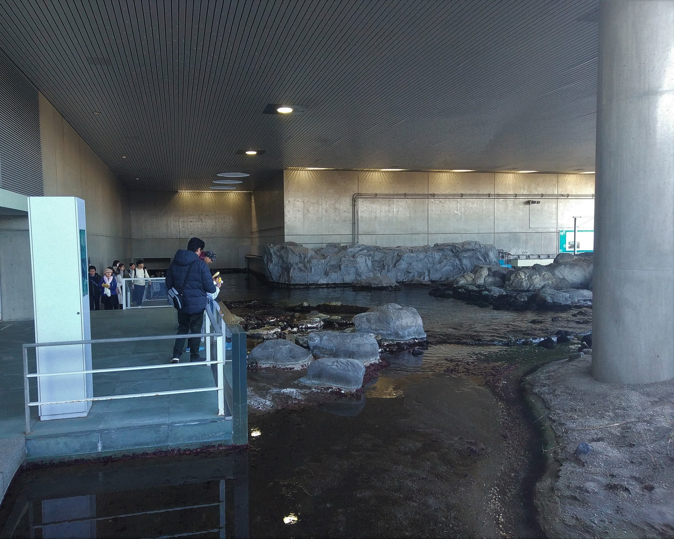 Seashore Exhibit