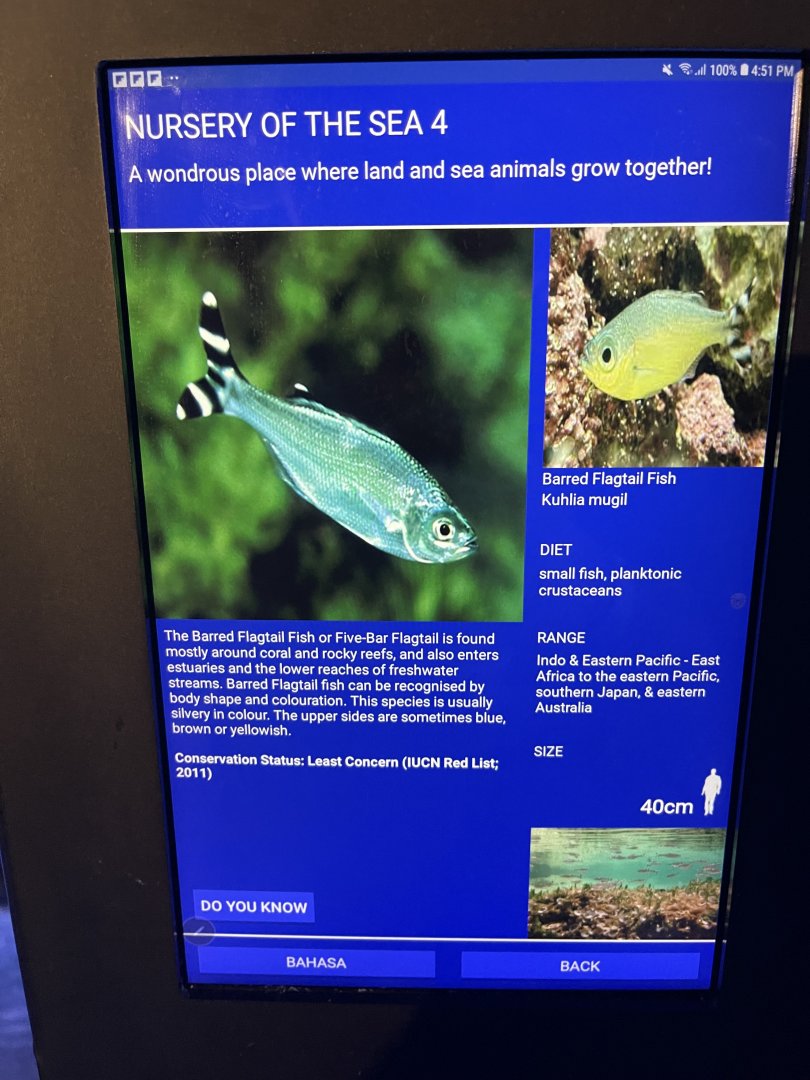 seashore tank - barred flagtail signage