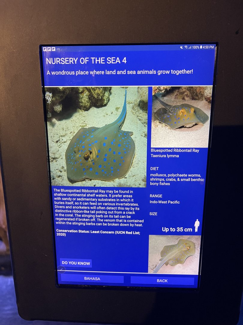 seashore tank - bluespotted ribbontail ray signage