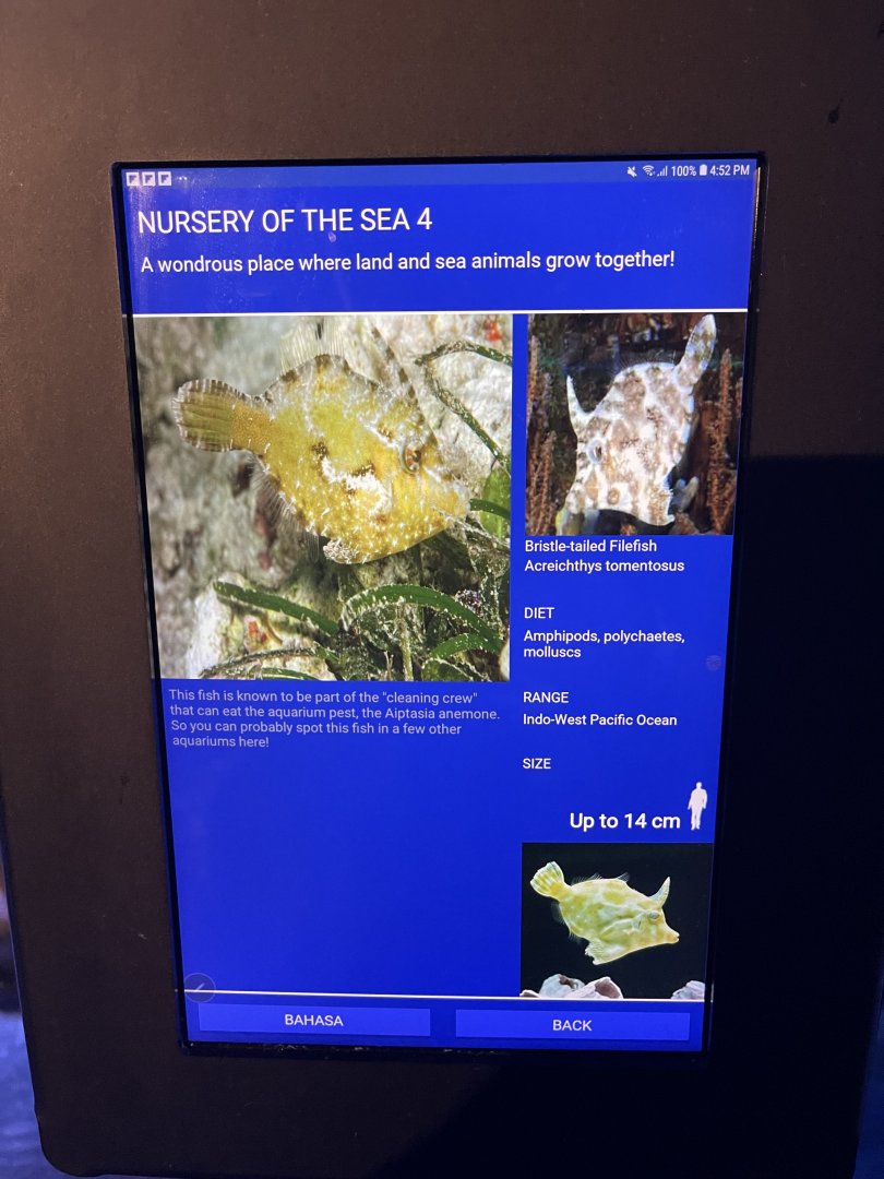 seashore tank - bristle-tailed filefish signage