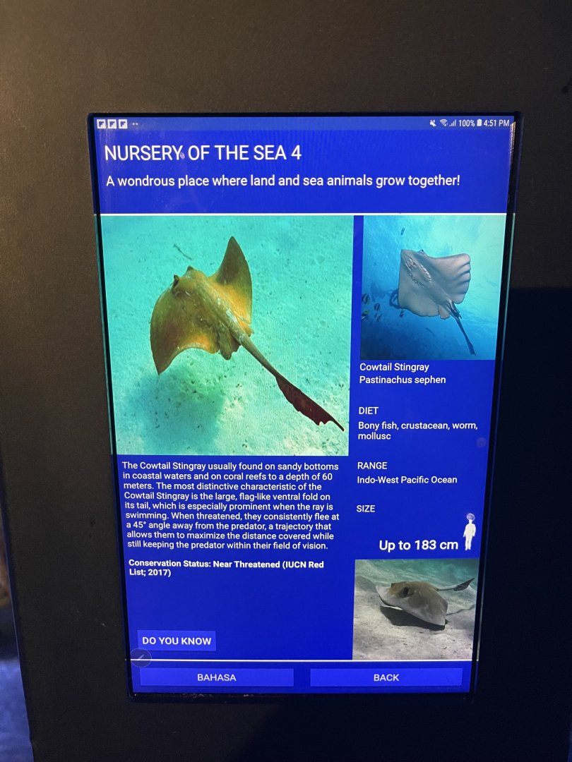 seashore tank - cowtail stingray signage
