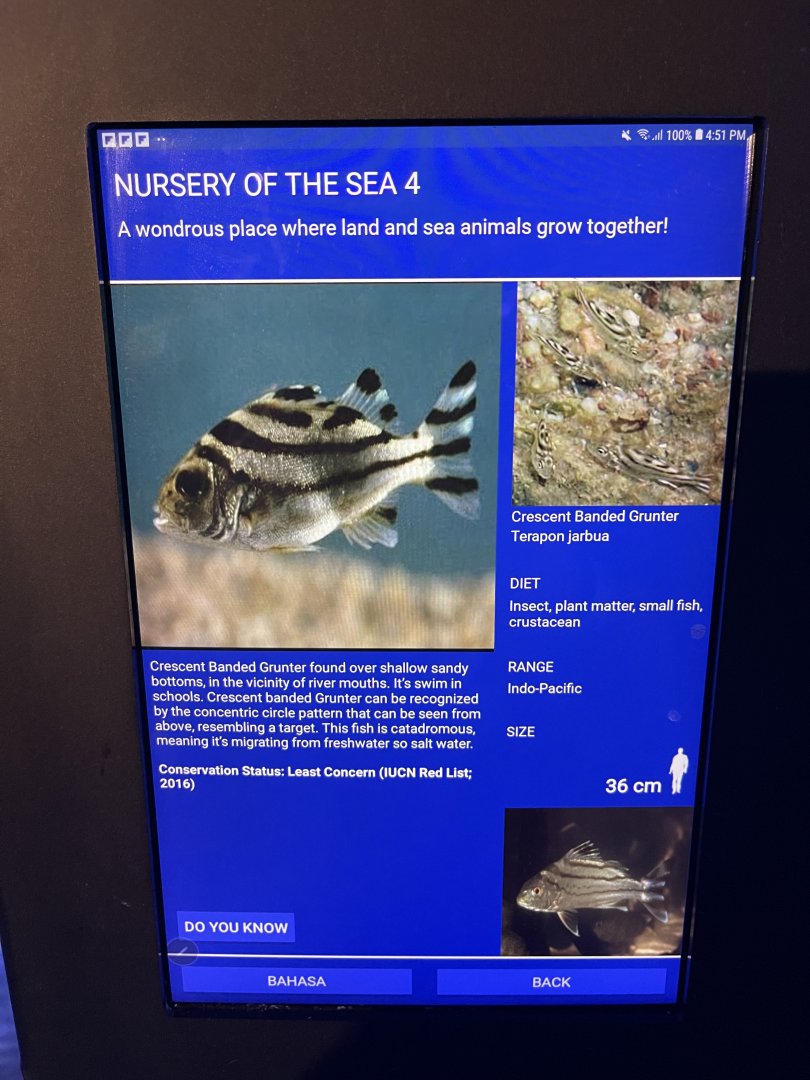 seashore tank - crested grunter signage
