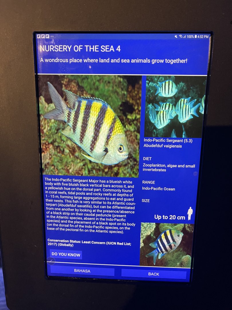 seashore tank - indo-pacific sergeant signage